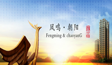 致敬——每一位拼搏奮進的鳳凰人